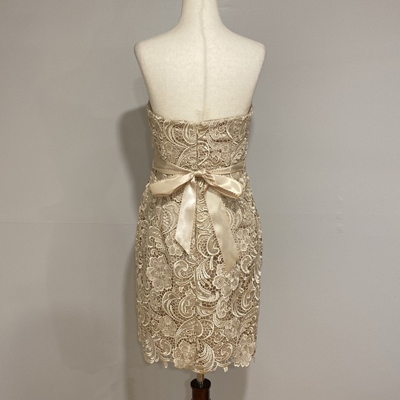Adrianna Papell Strapless Lace Sheath Dress - Picture 6 of 9